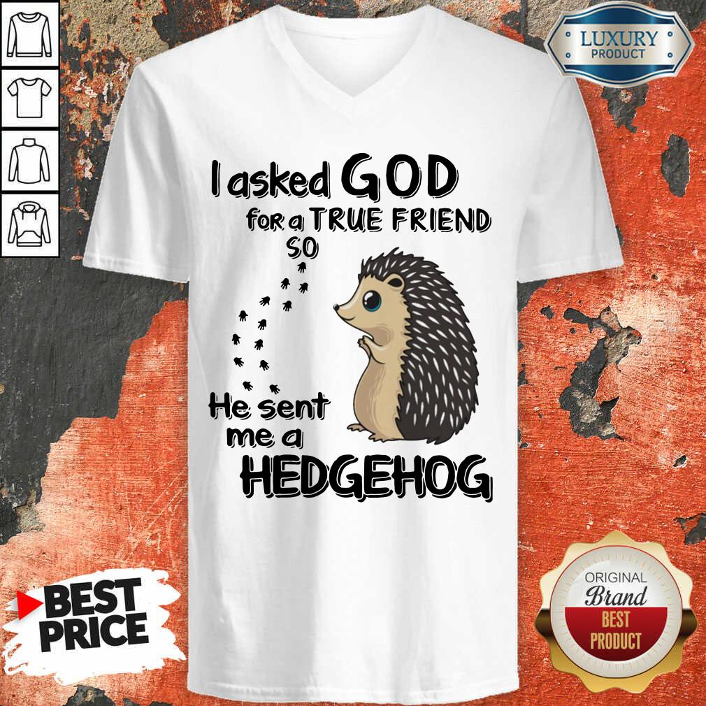 Top I Asked God A True Friend He Sent A Hedgehog Shirt