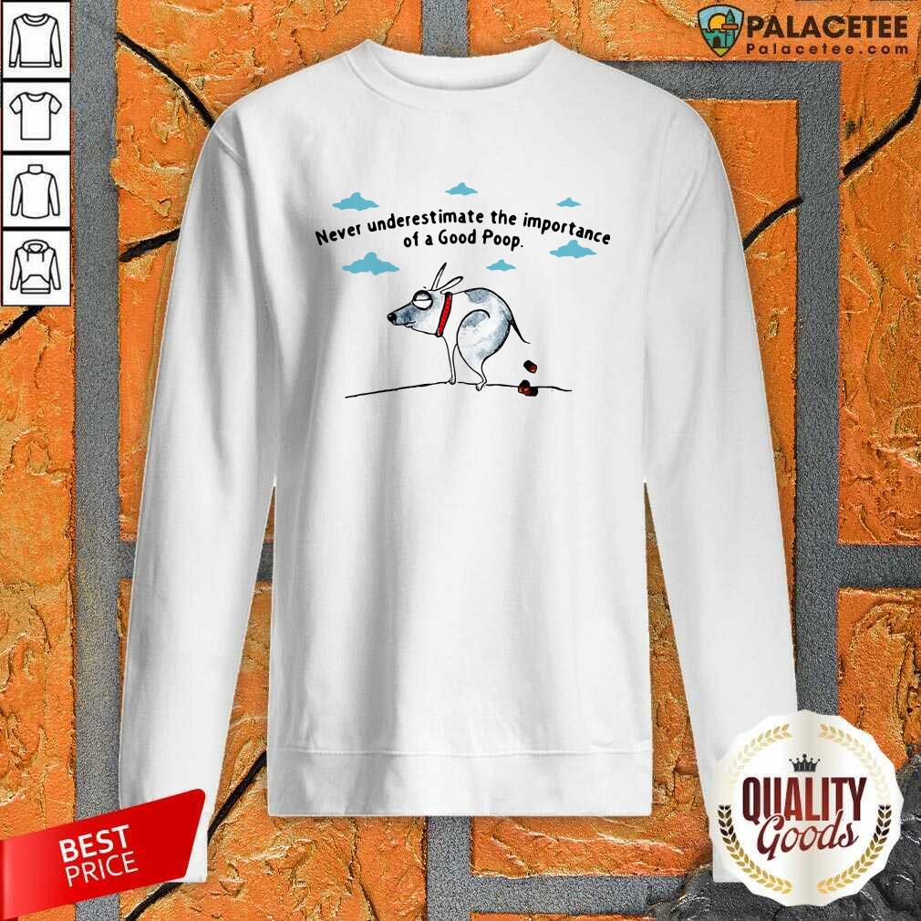 Top Never Underestimate The Importance Of A Good Poop Shirt