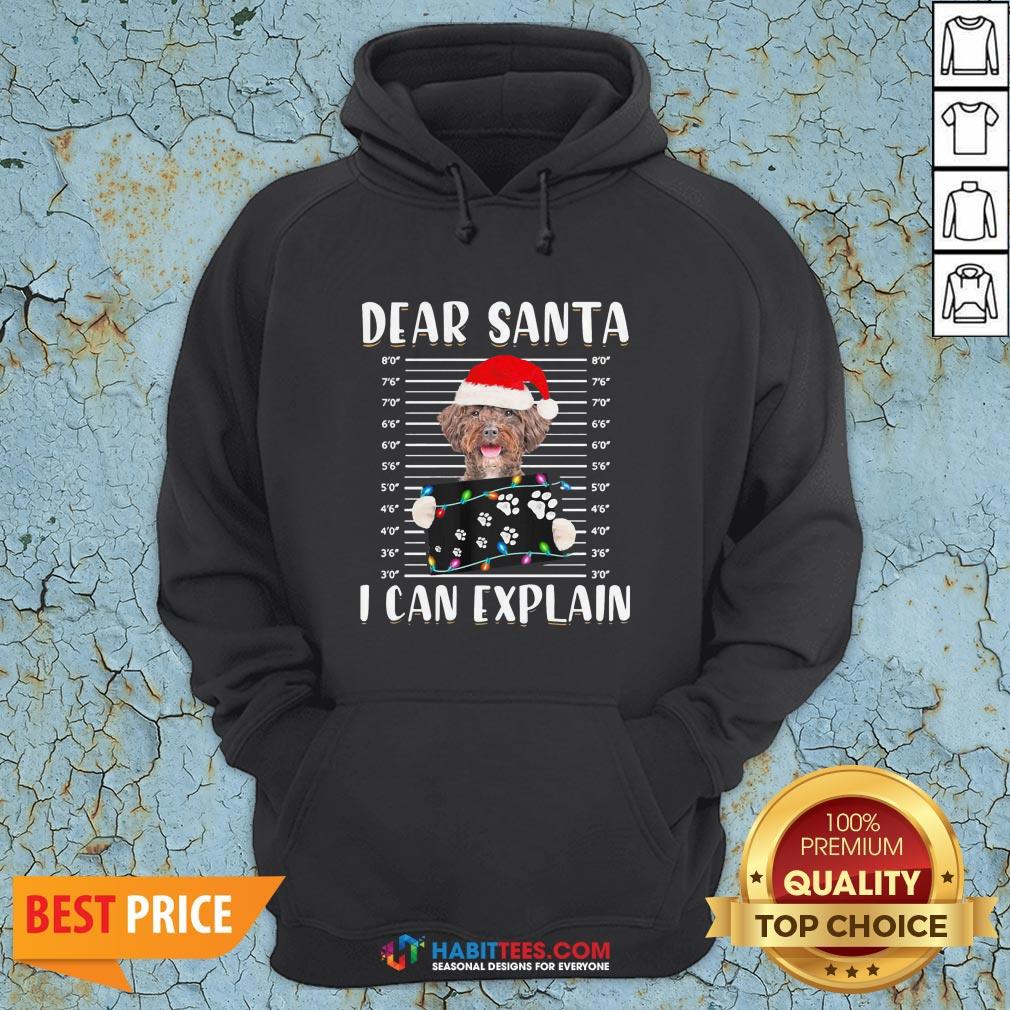 Top Shetland Sheepdog Dear Santa I Can Explain Christmas Sweater Shirt