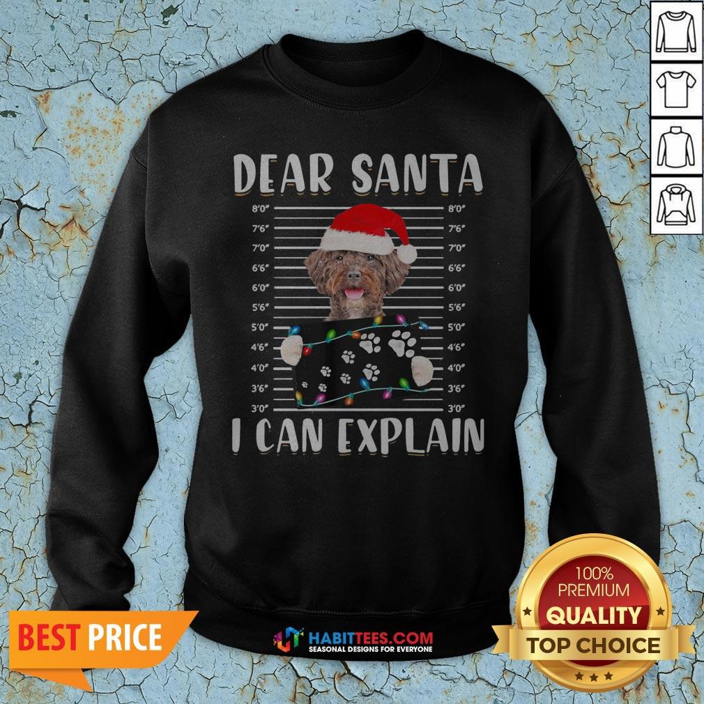 Top Shetland Sheepdog Dear Santa I Can Explain Christmas Sweater Shirt