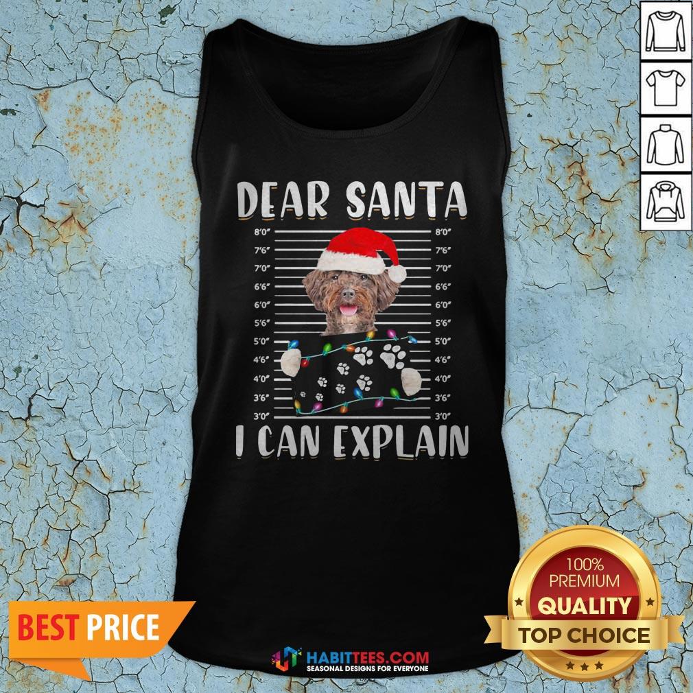 Top Shetland Sheepdog Dear Santa I Can Explain Christmas Sweater Shirt