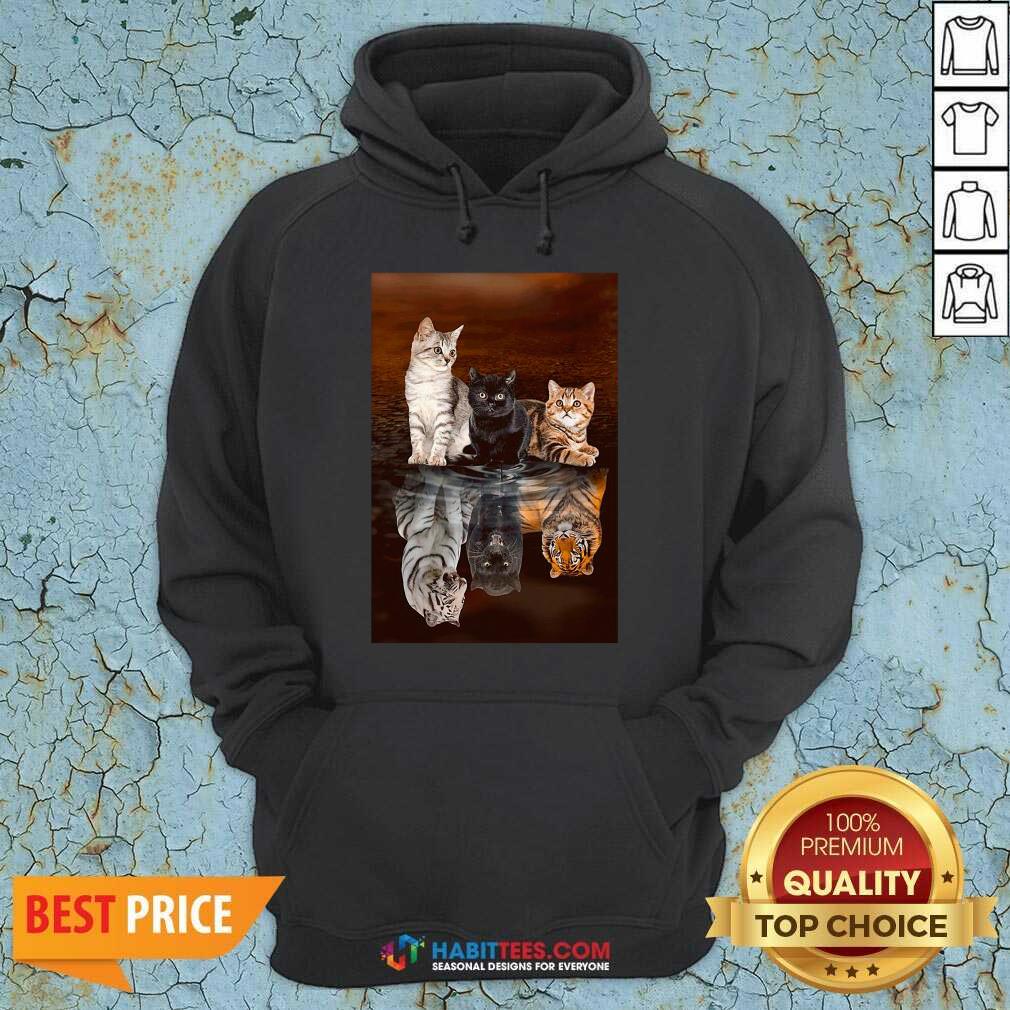 Top Three Cat Tiger Reflections 5d Diamond Diy Shirt