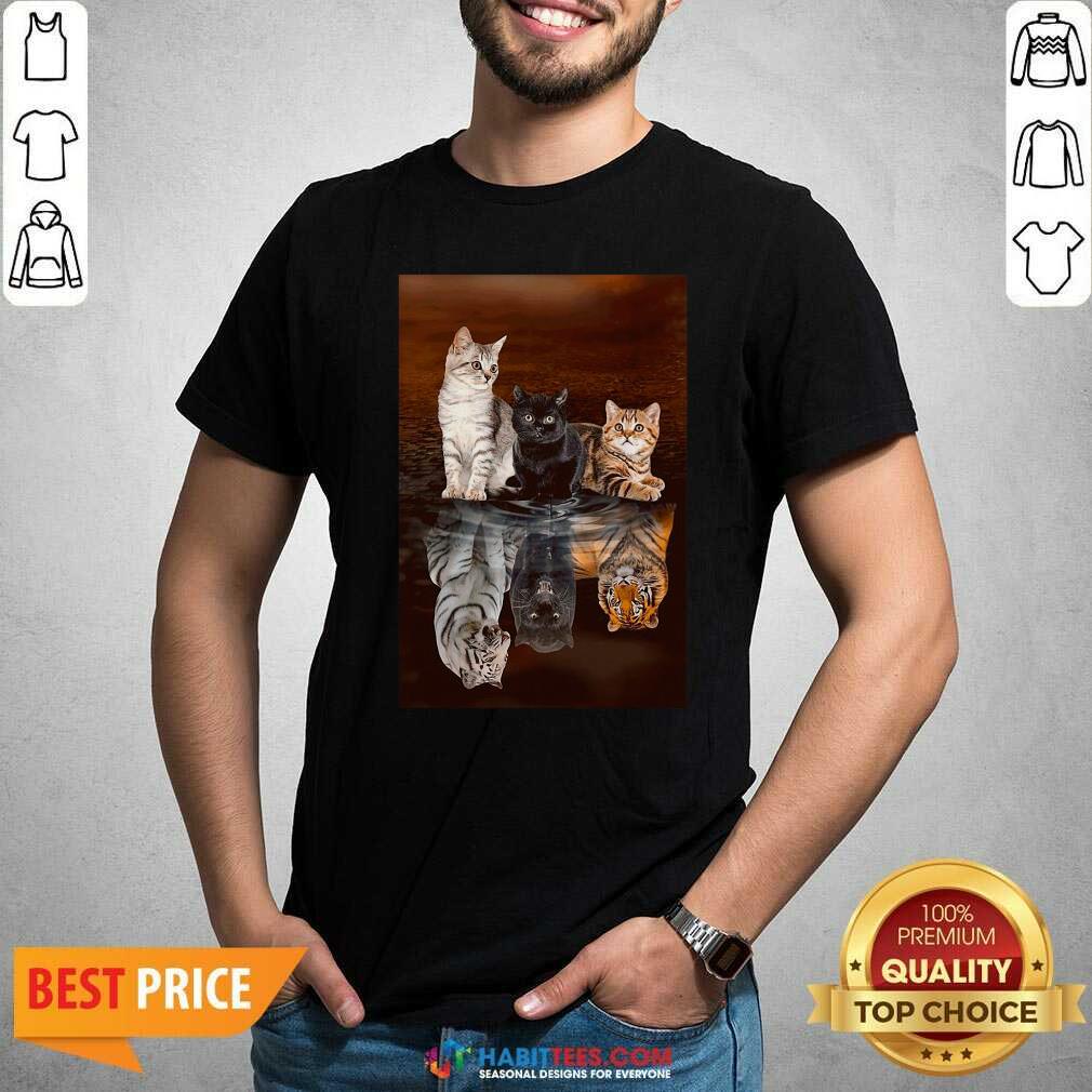 Top Three Cat Tiger Reflections 5d Diamond Diy Shirt