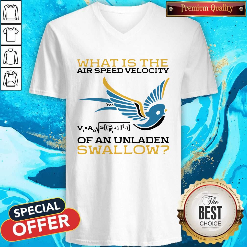 Top What Is The Airspeed Velocity Of An Unladen Swallow Shirt