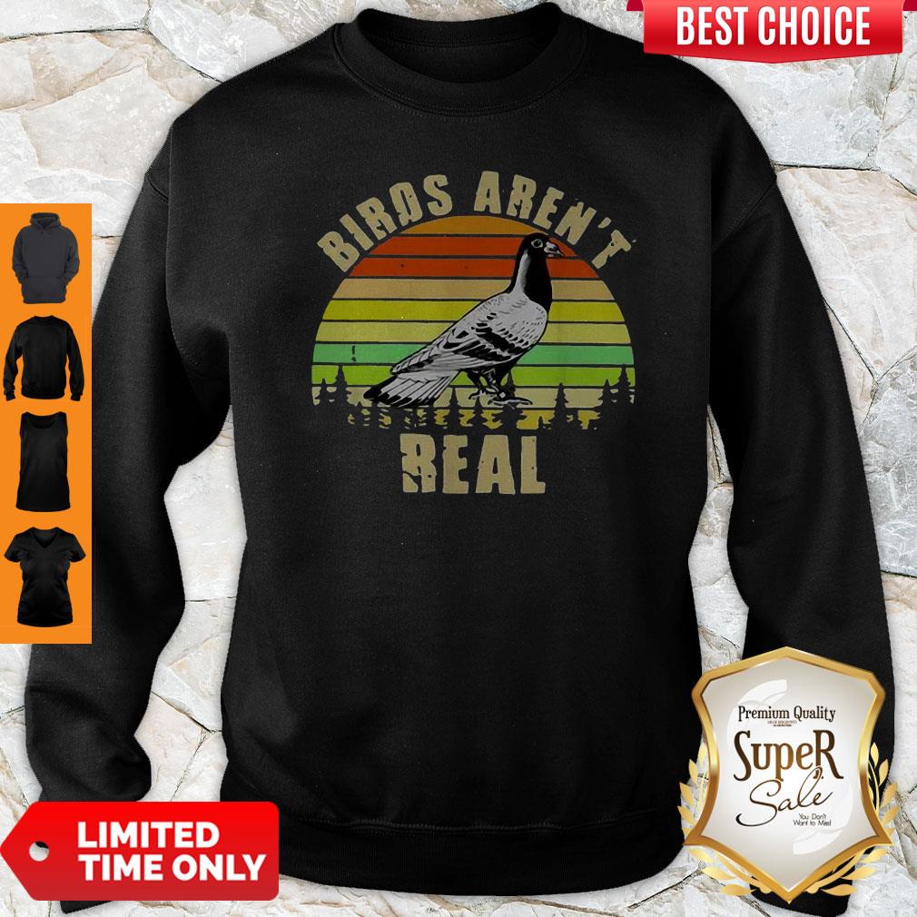Funny Birds Aren’t Real Vintage Sunset Shirt