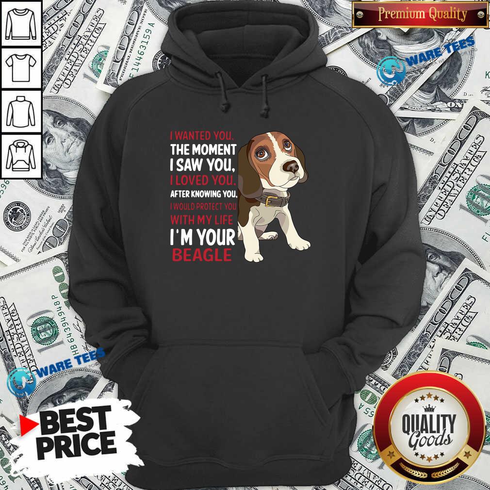 awesome-beagle-wanted-i-wanted-you-the-moment-i-saw-you-i-loved-you-after-knowing-you-hoodie.jpg