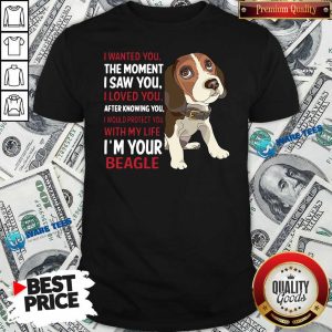 Awesome Beagle Wanted I Wanted You The Moment I Saw You I Loved You After Knowing You Shirt