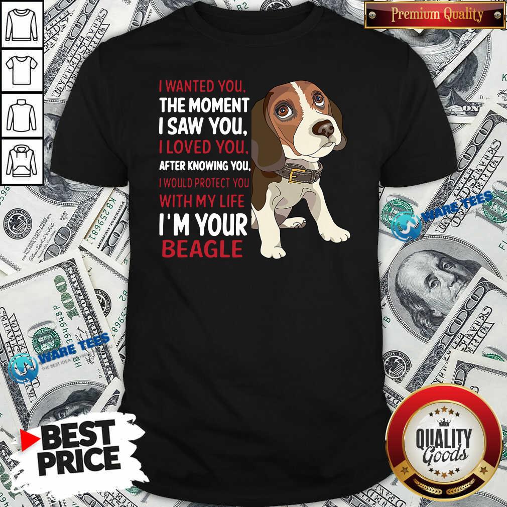 awesome-beagle-wanted-i-wanted-you-the-moment-i-saw-you-i-loved-you-after-knowing-you-shirt.jpg