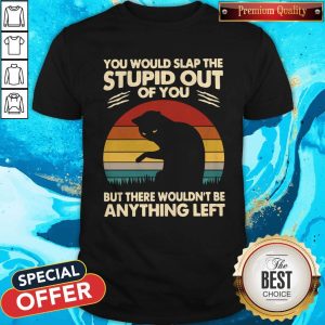 Cat You Would Slap The Stupid Out Of You But There Wouldn_t Be Anything Left Vintage Shirt