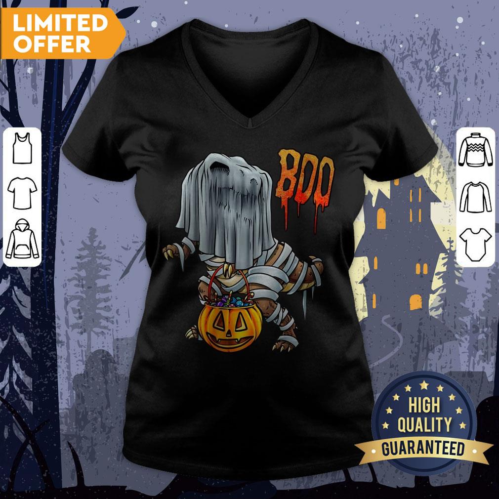 2020 Is Boo Sheet Dinosaur Boo T-Rex Halloween Costume Shirt