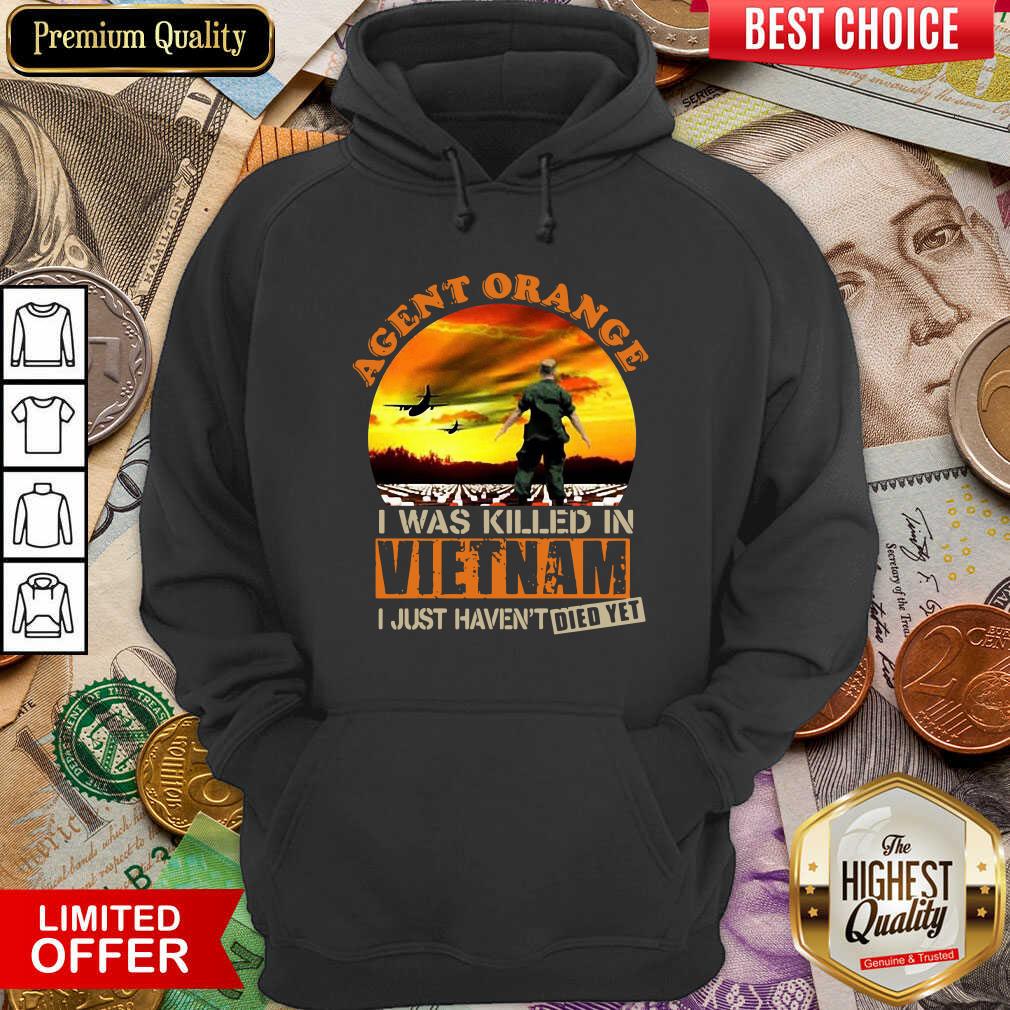 cute-agent-orange-i-was-killed-in-vietnam-veteran-i-just-havent-died-yet-hoodie.jpg