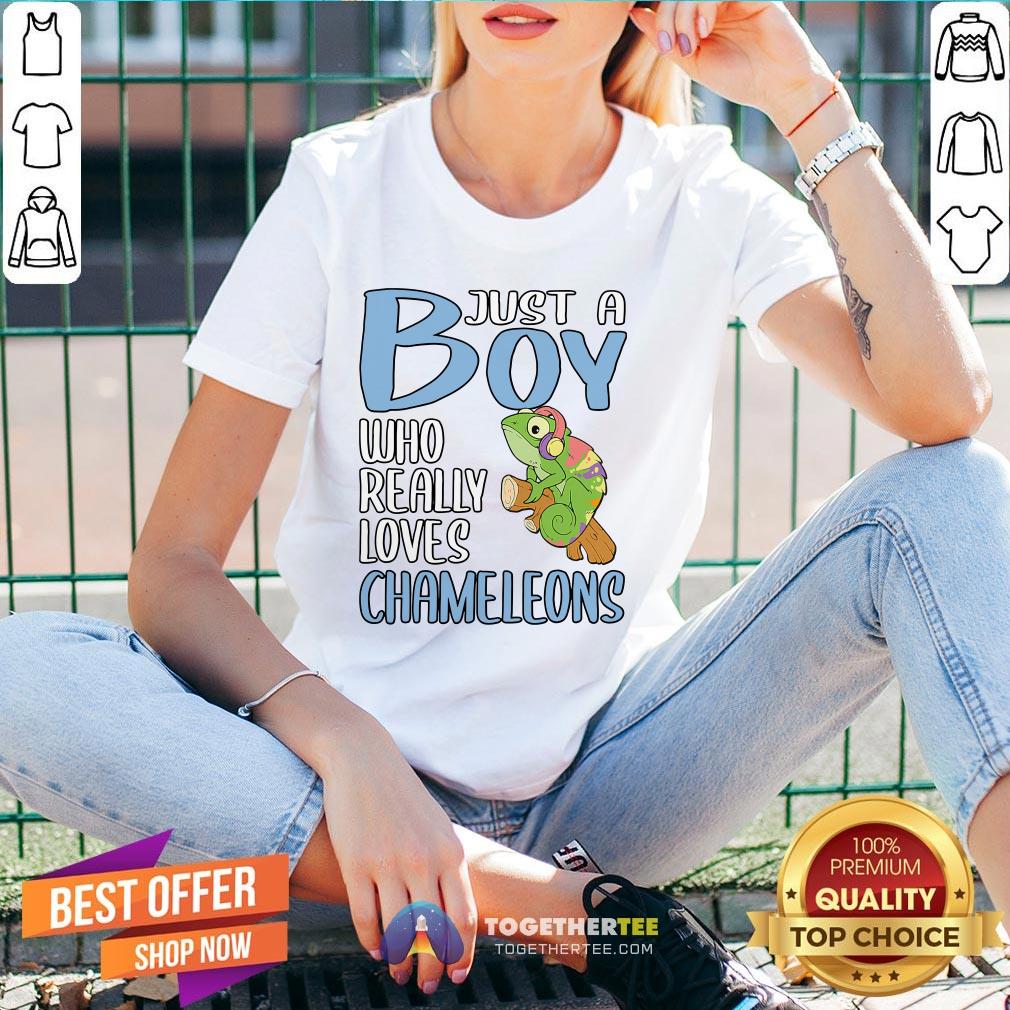 Colorful Just A Boy Who Really Loves Chameleons Shirt
