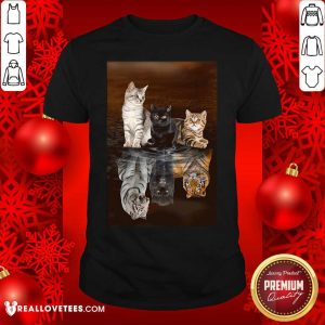 Funny Three Cat Tiger Reflections 5d Diamond Diy Shirt