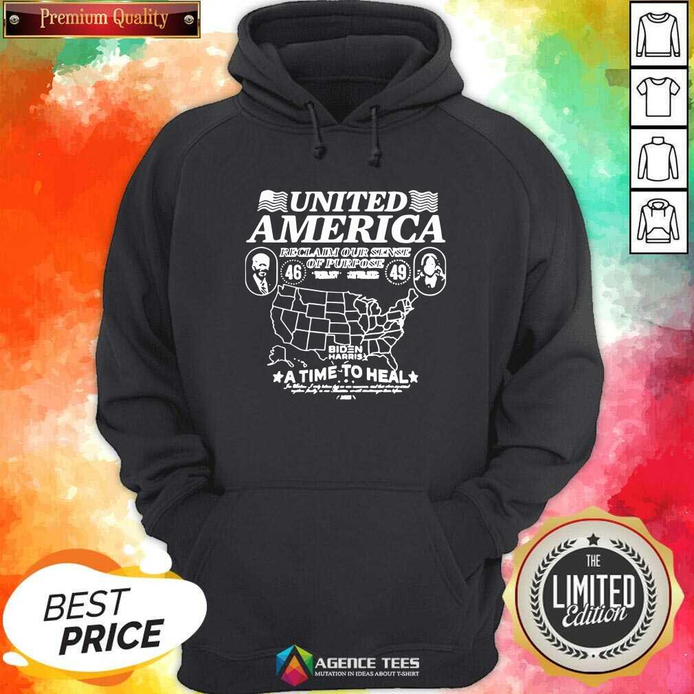 original-biden-harris-united-america-reclaim-our-sense-of-pupose-a-time-to-heal-hoodie.jpg