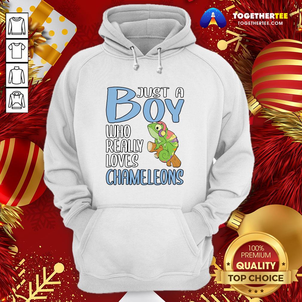 Colorful Just A Boy Who Really Loves Chameleons Shirt