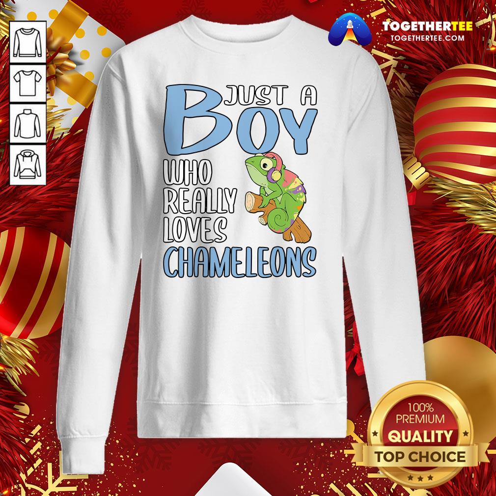 Colorful Just A Boy Who Really Loves Chameleons Shirt