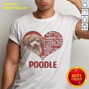 Top Before I Met You I Wanted You The Moment I Saw You I Loved You I Am Your Poodle Shirt