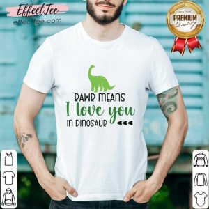 Rawr Means I Love You In Dinosaur Shirt