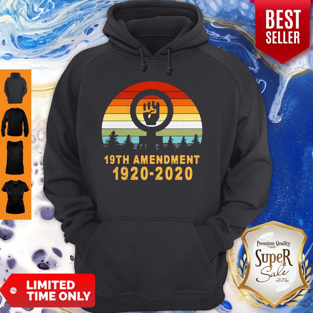 Vintage 19th Amendment 1920-2020 Womens T-Shirt