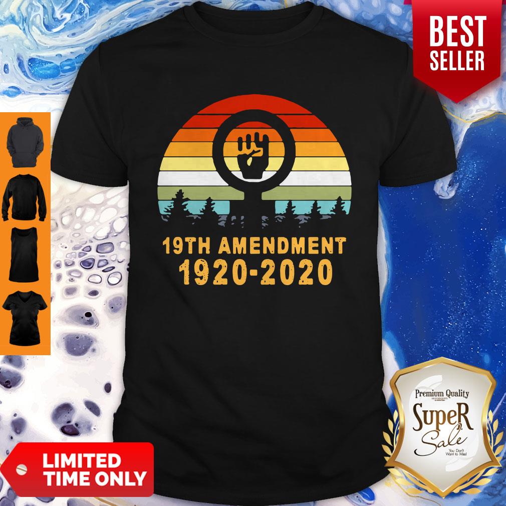 Vintage 19th Amendment 1920-2020 Womens T-Shirt
