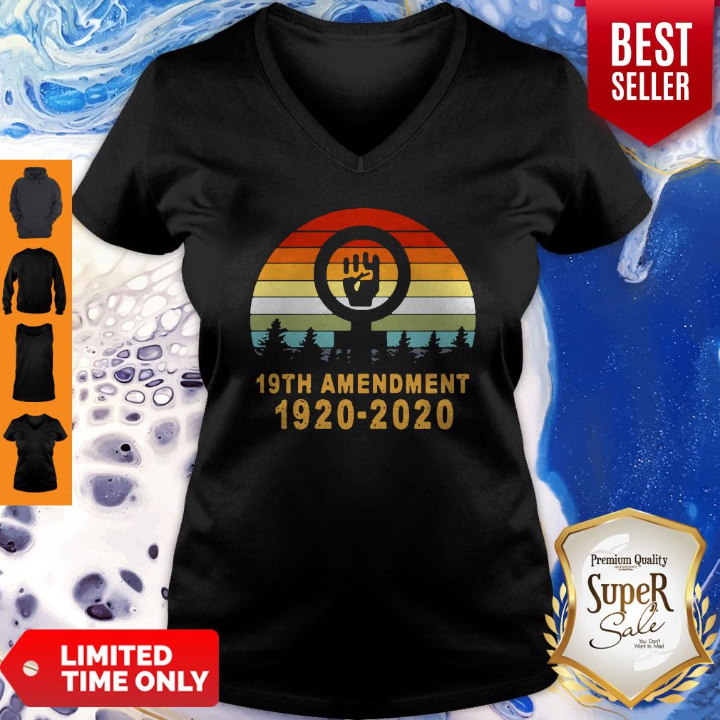 Vintage 19th Amendment 1920-2020 Womens T-Shirt