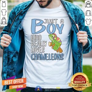 Colorful Just A Boy Who Really Loves Chameleons Shirt