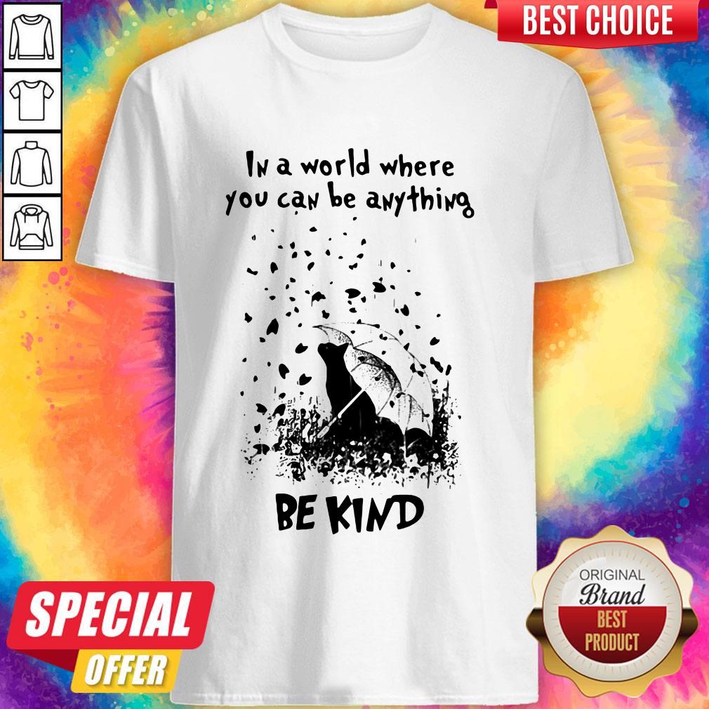 Cat Rain In A World Where You Can Be Anything Be Kind Shirt