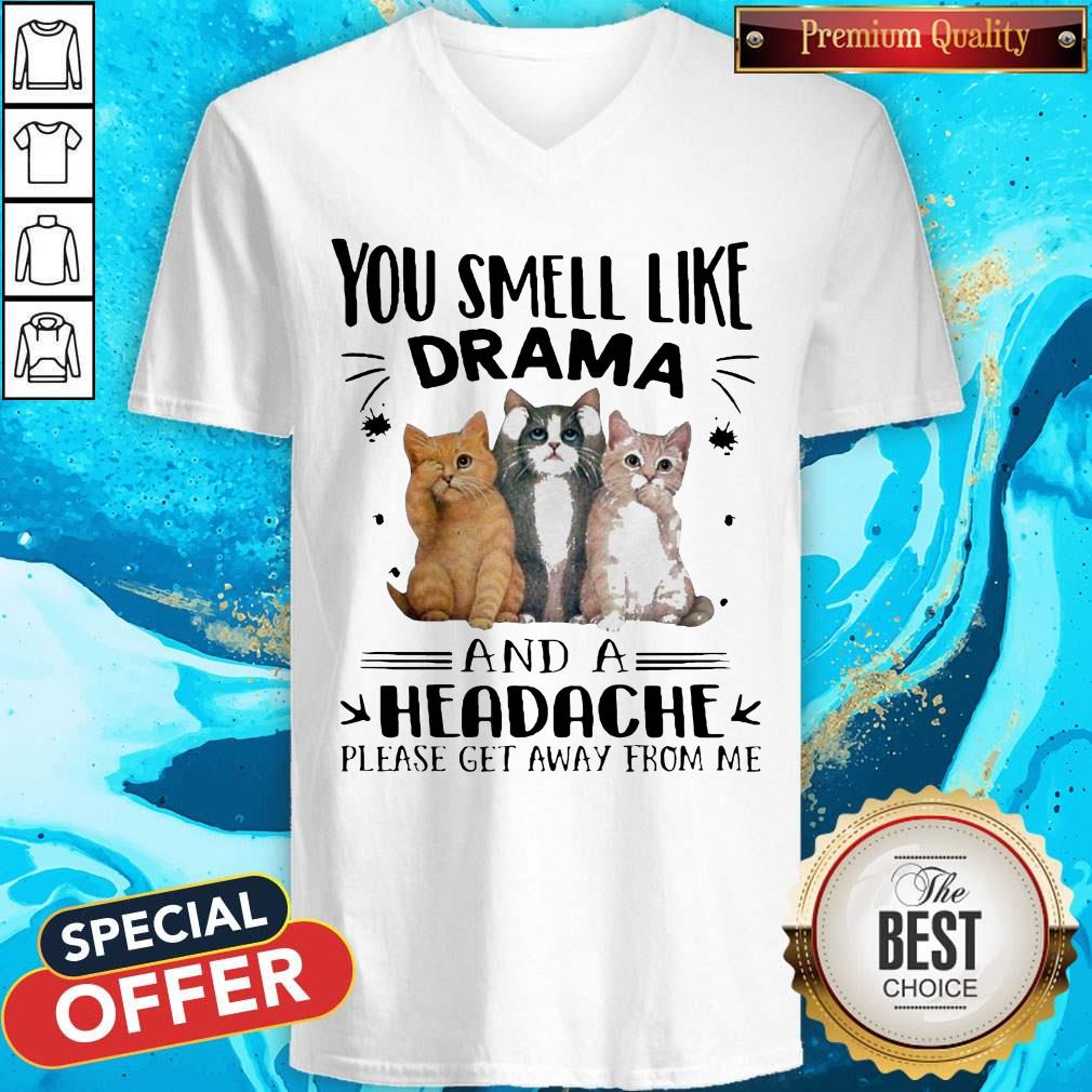 Cats You Smell Like Drama And A Headache Please Get Away From Me Shirt