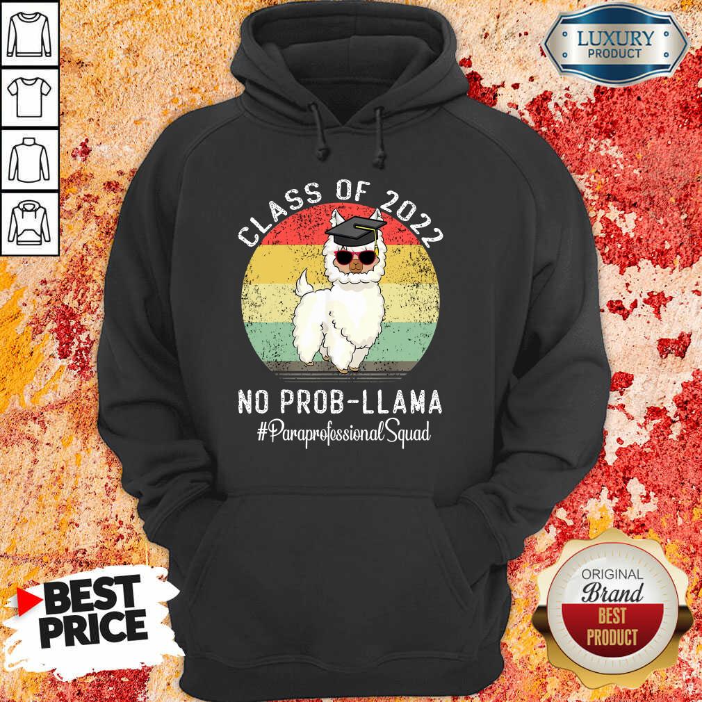 Class Of 2022 No Prob Llama Paraprofessional Squad Vintage Shirt