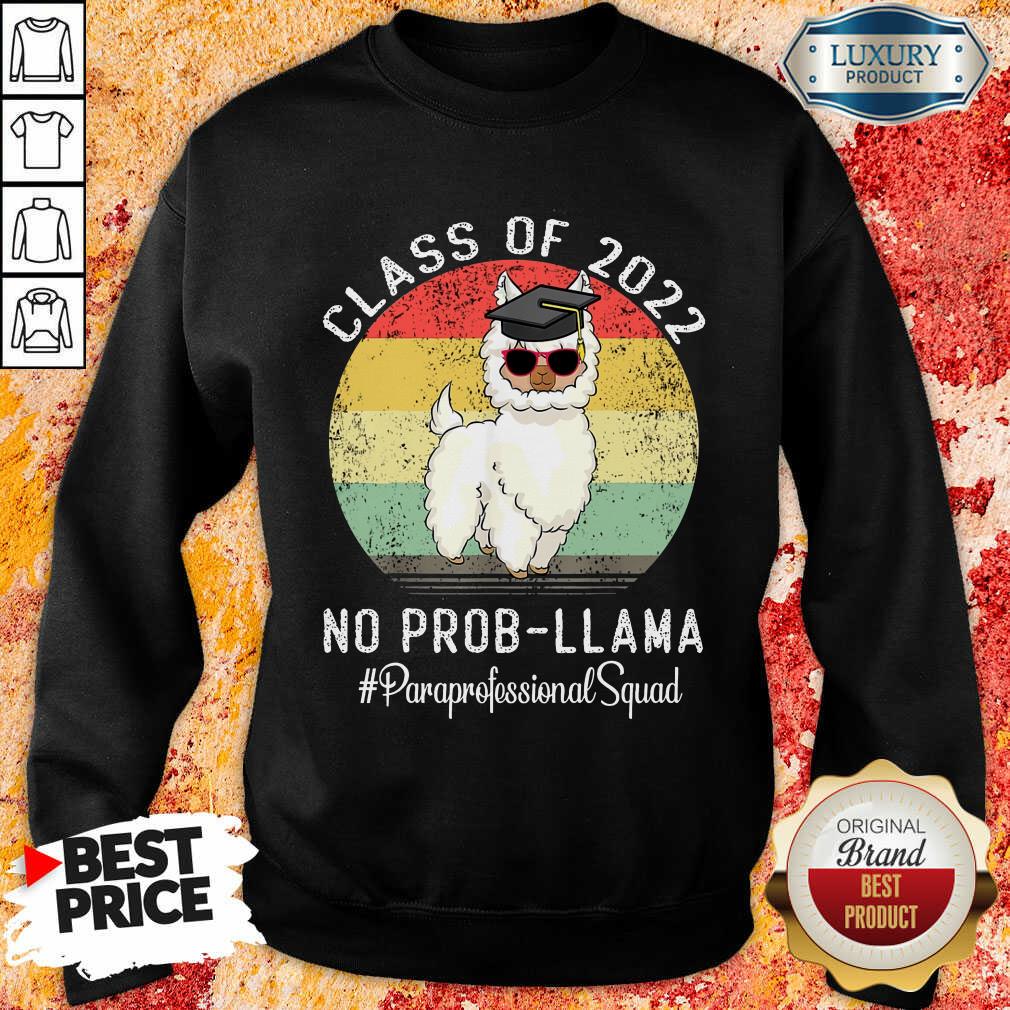 Class Of 2022 No Prob Llama Paraprofessional Squad Vintage Shirt