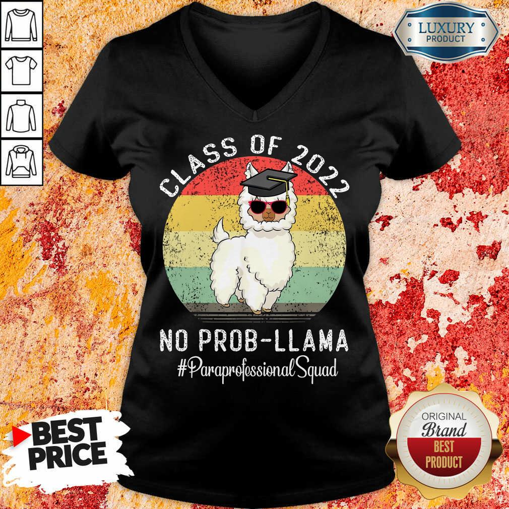 Class Of 2022 No Prob Llama Paraprofessional Squad Vintage Shirt