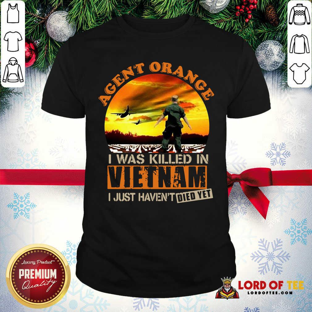 cute-agent-orange-i-was-killed-in-vietnam-veteran-i-just-havent-died-yet-shirt.jpg