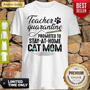 Teacher Quarantine Promoted To Stay At Home Cat Mom Shirt