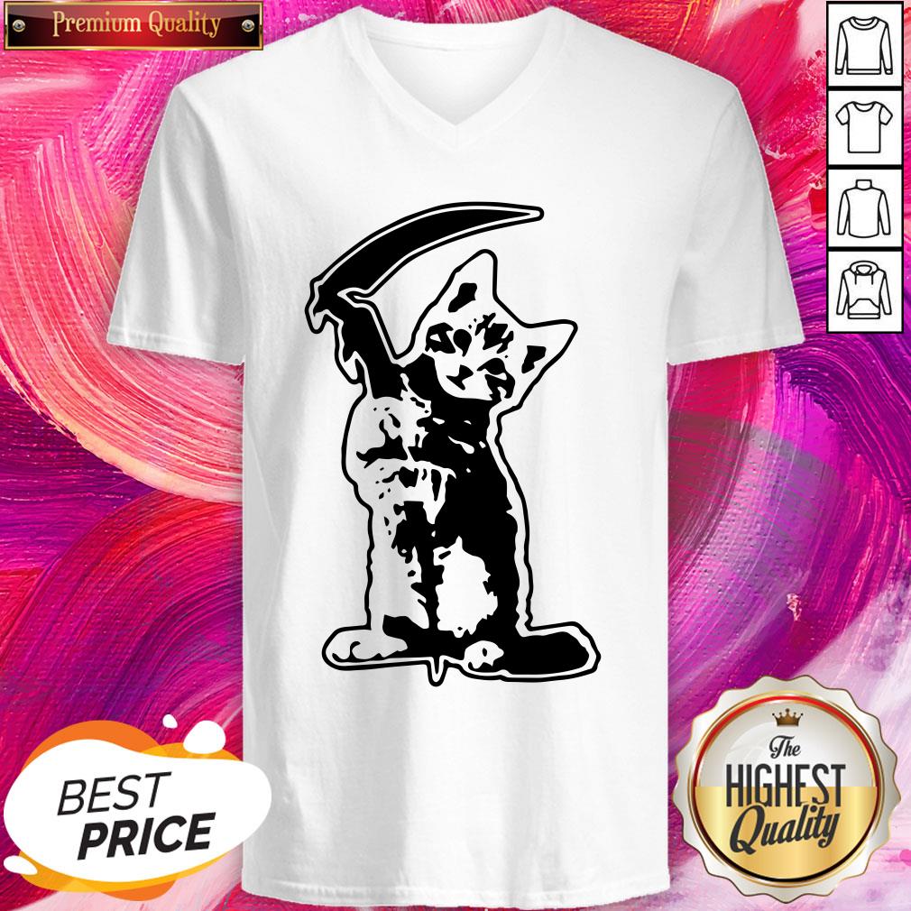 Fantastic I Would Like Cat Death Shirt