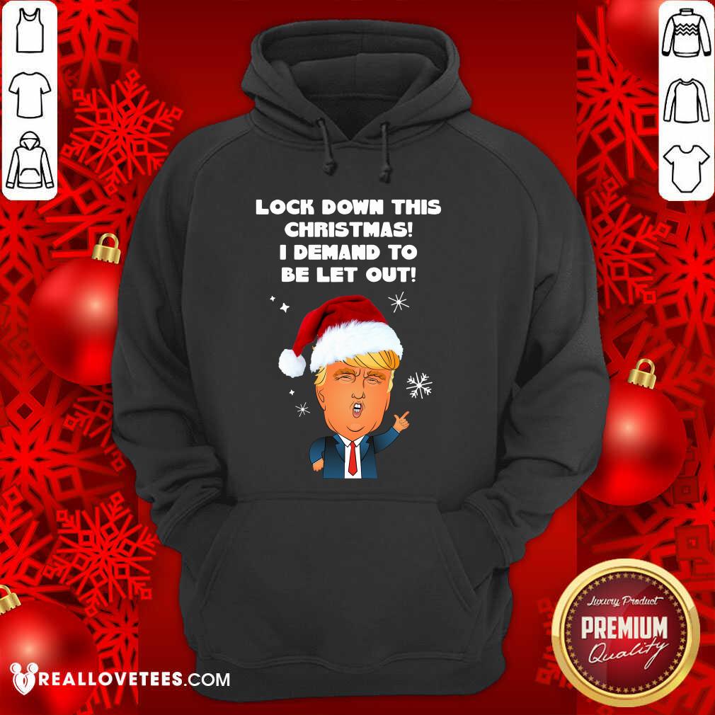 fantastic-santa-donald-trump-lock-down-this-christmas-i-demand-to-be-let-out-hoodie.jpg