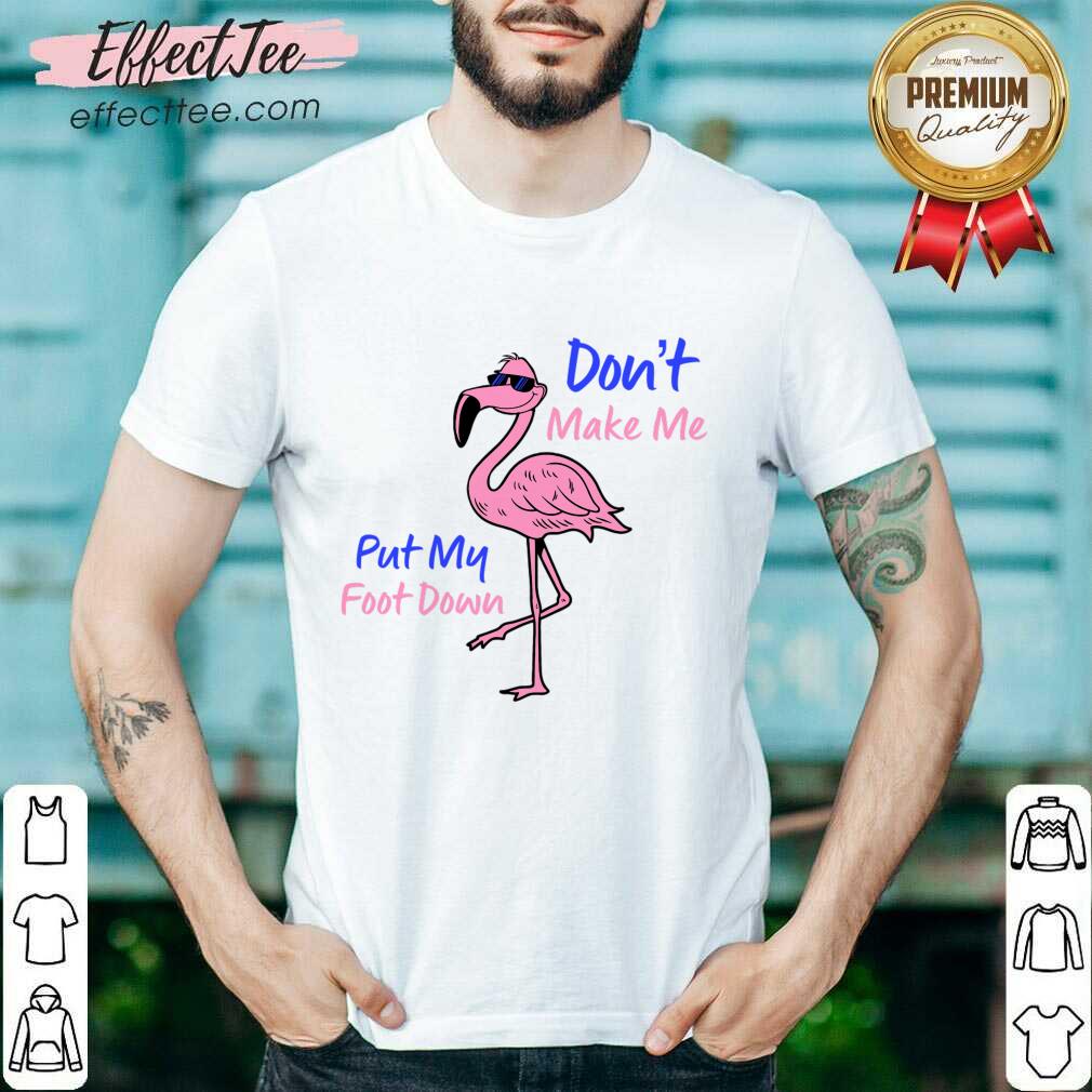 Flamingo Don't Make Me Put My Foot Down Shirt