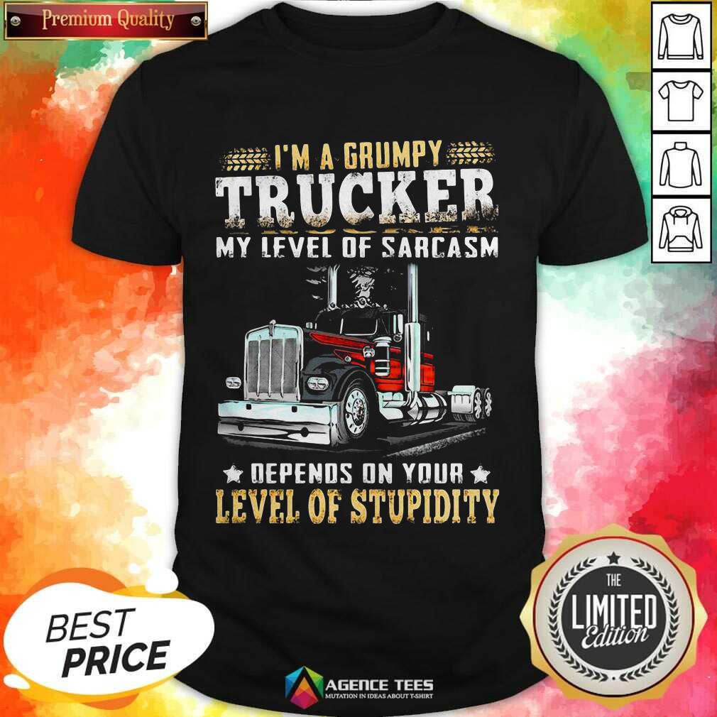 I Am A Grumpy Trucker 5 Level Of Stupidity Shirt
