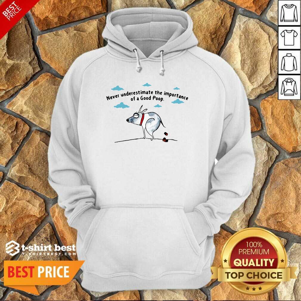 Funny Never Underestimate The Importance Of A Good Poop Shirt