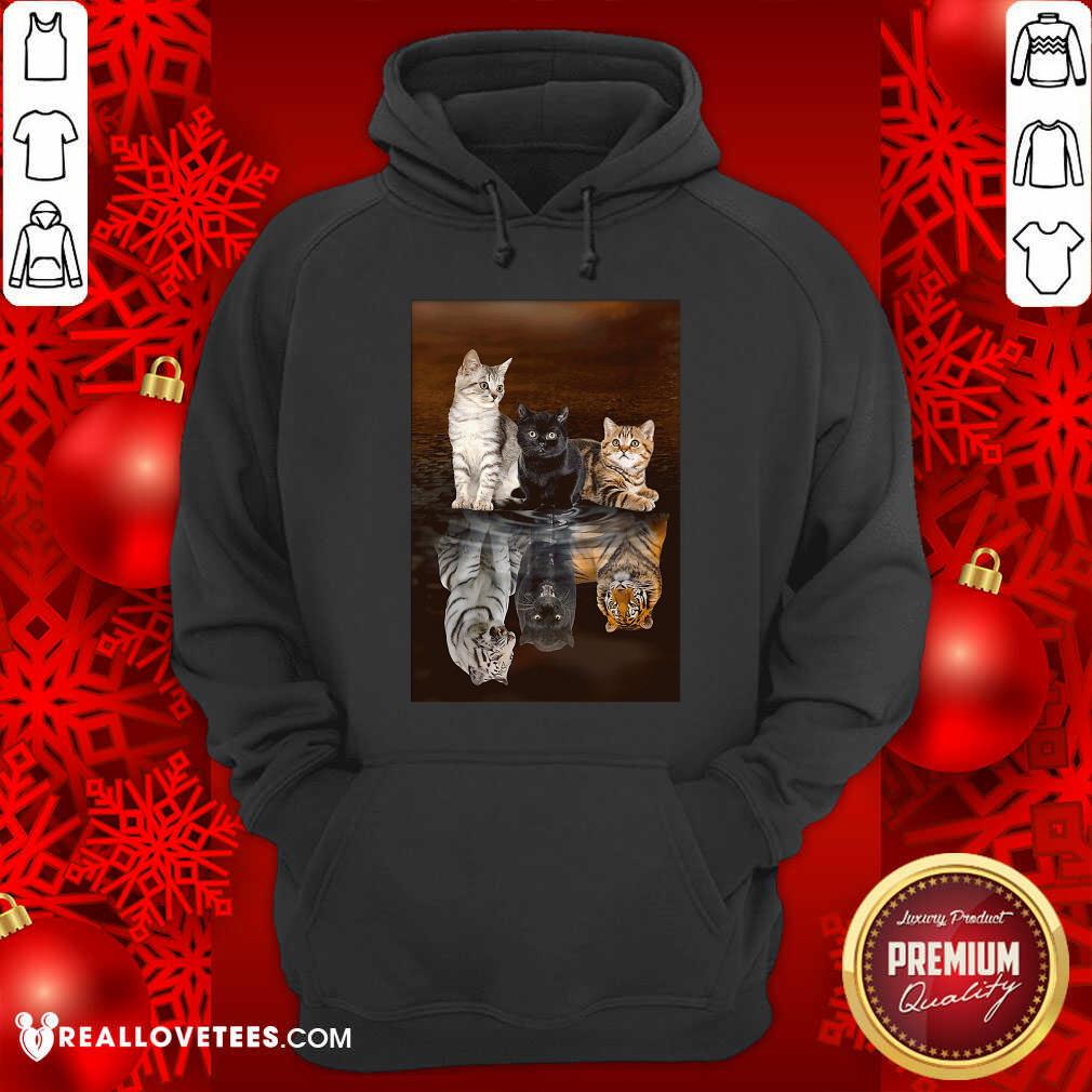 Funny Three Cat Tiger Reflections 5d Diamond Diy Shirt