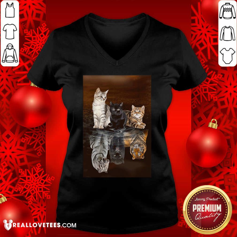 Funny Three Cat Tiger Reflections 5d Diamond Diy Shirt