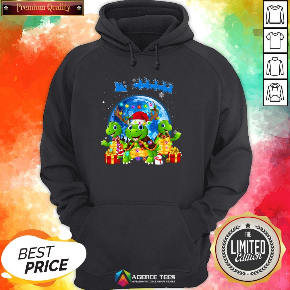Funny Turtles Merry Christmas Shirt
