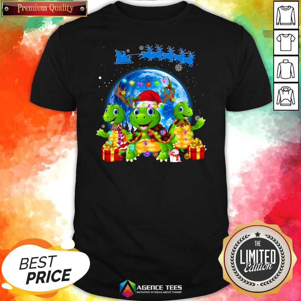 Funny Turtles Merry Christmas Shirt