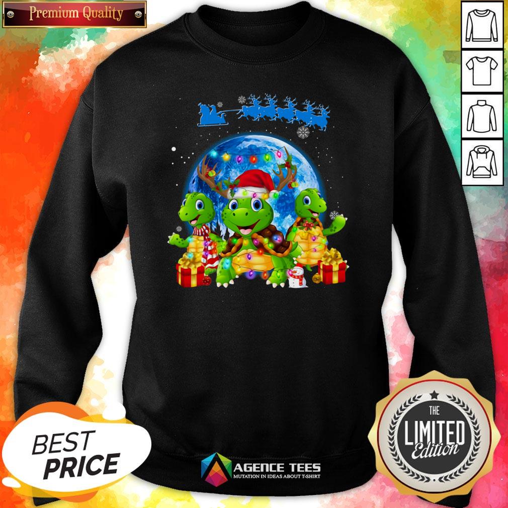 Funny Turtles Merry Christmas Shirt