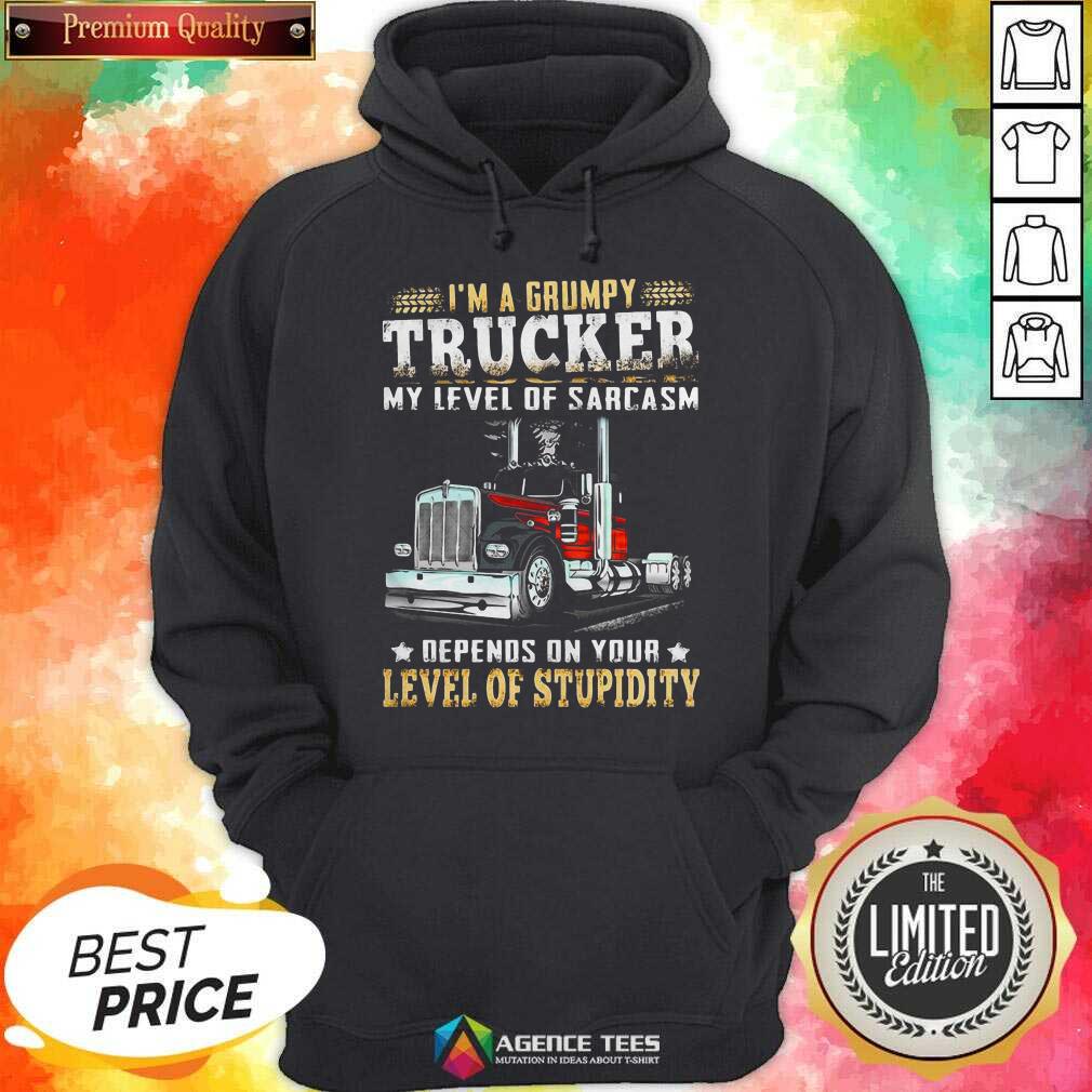 I Am A Grumpy Trucker 5 Level Of Stupidity Shirt