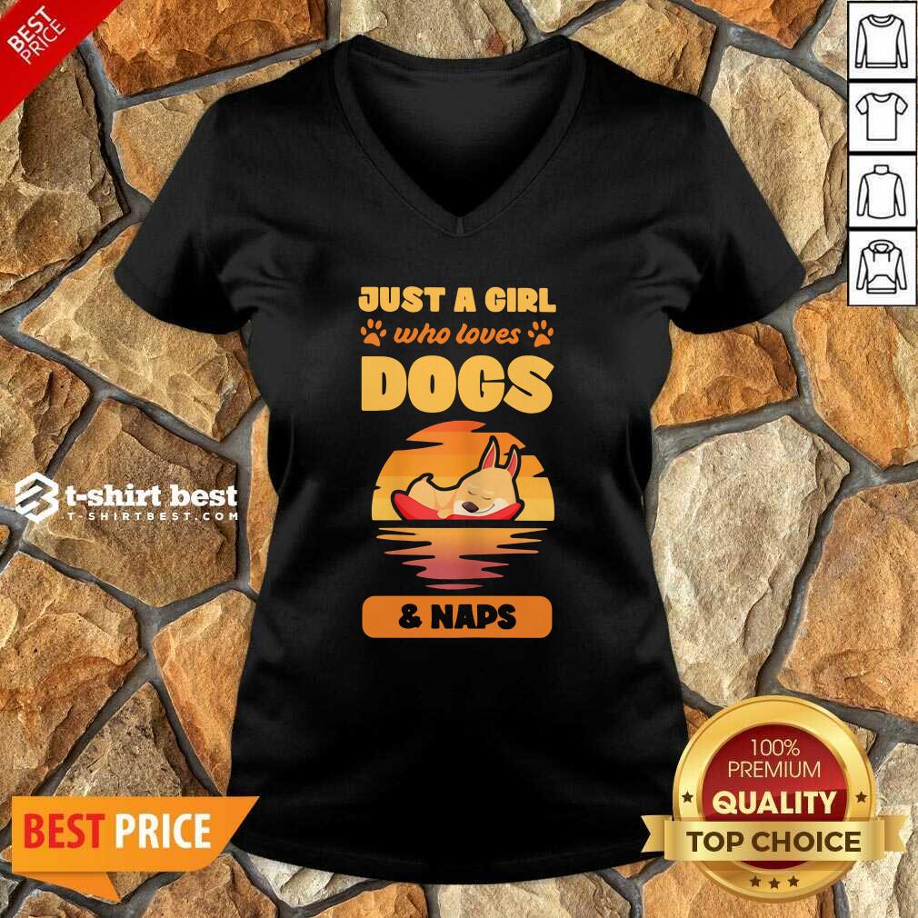 Good Just A Girl Who Loves Dogs And Naps Shirt