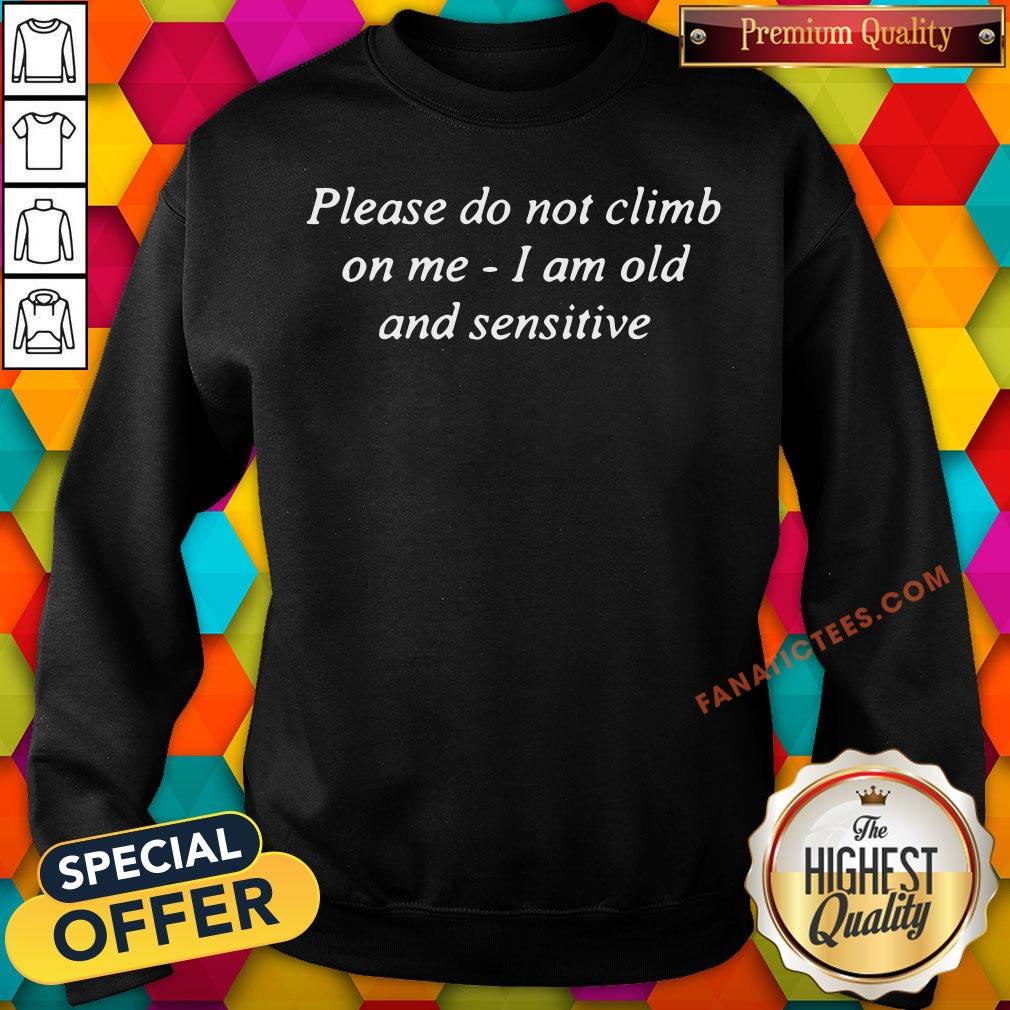 good-please-do-not-climb-on-me-i-am-old-and-sensitive-hoodie.jpg