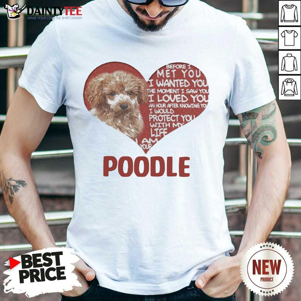 hot-before-i-met-you-i-wanted-you-the-moment-i-saw-you-i-loved-you-i-am-your-poodle-shirt.jpg