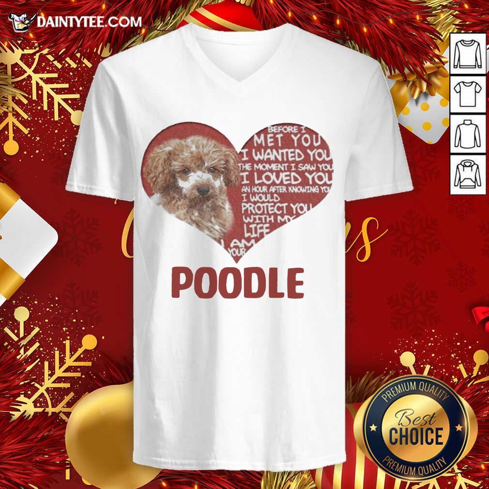 hot-before-i-met-you-i-wanted-you-the-moment-i-saw-you-i-loved-you-i-am-your-poodle-v-neck.jpg