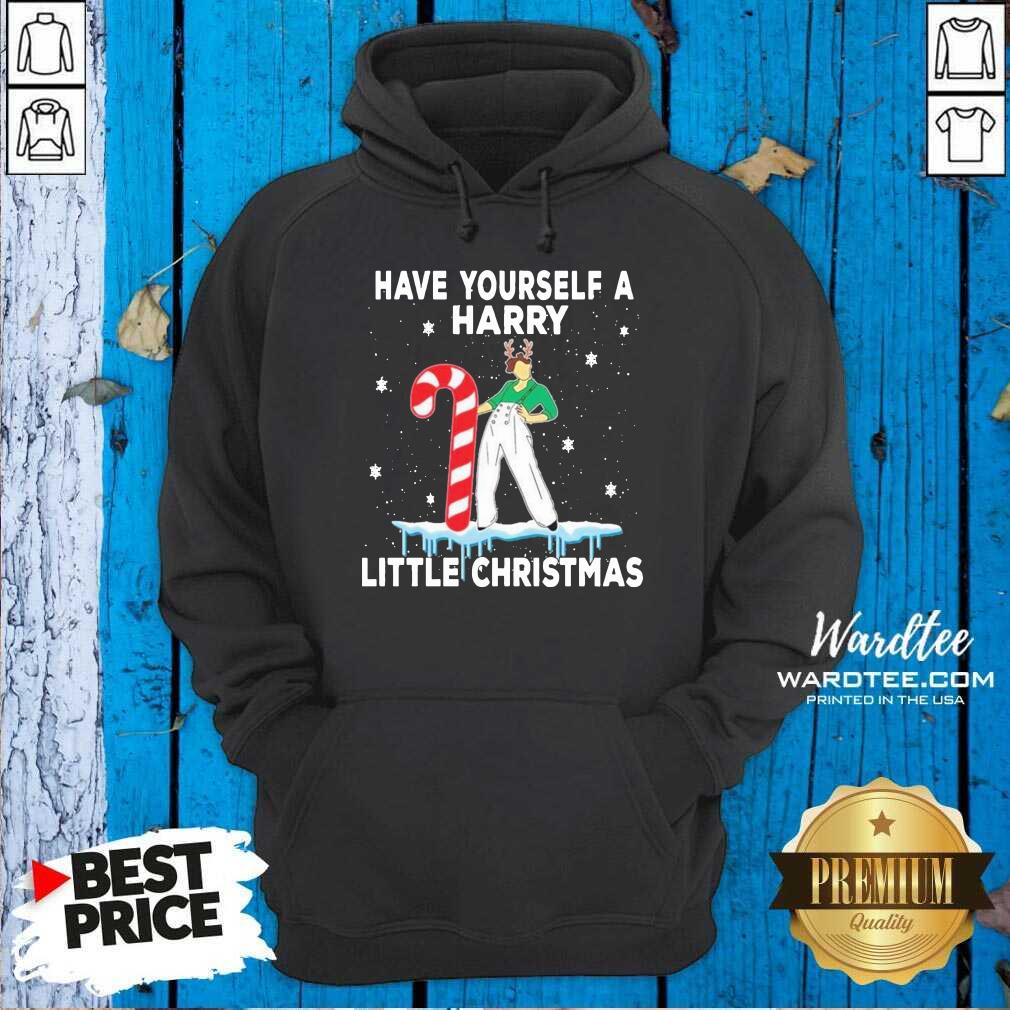 Hot Have Yourself A Harry Little Christmas 2020 Shirt