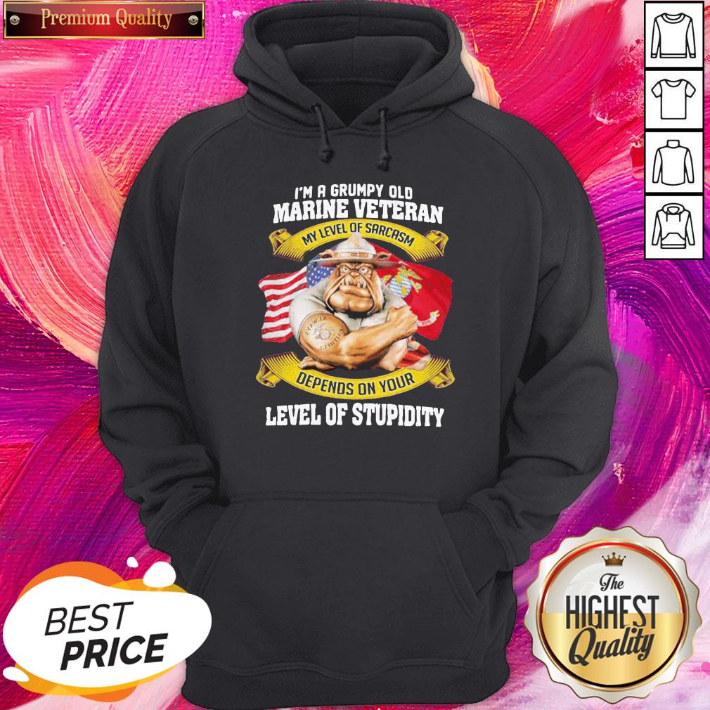 hot-im-a-grumpy-old-marine-veteran-my-level-of-sarcasm-depends-on-your-level-of-stupidity-hoodie.jpg